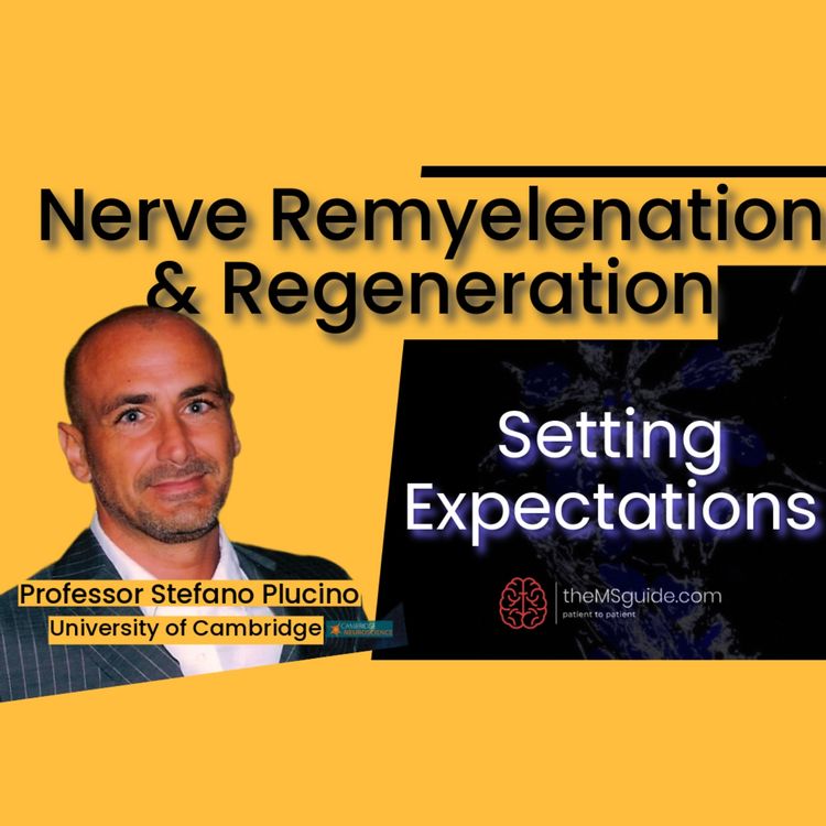 cover art for Nerve Remyelination & Regeneration in Multiple Sclerosis