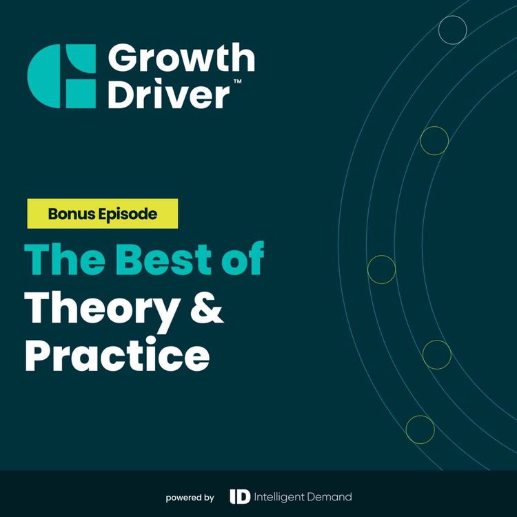 cover art for The Best of Theory & Practice