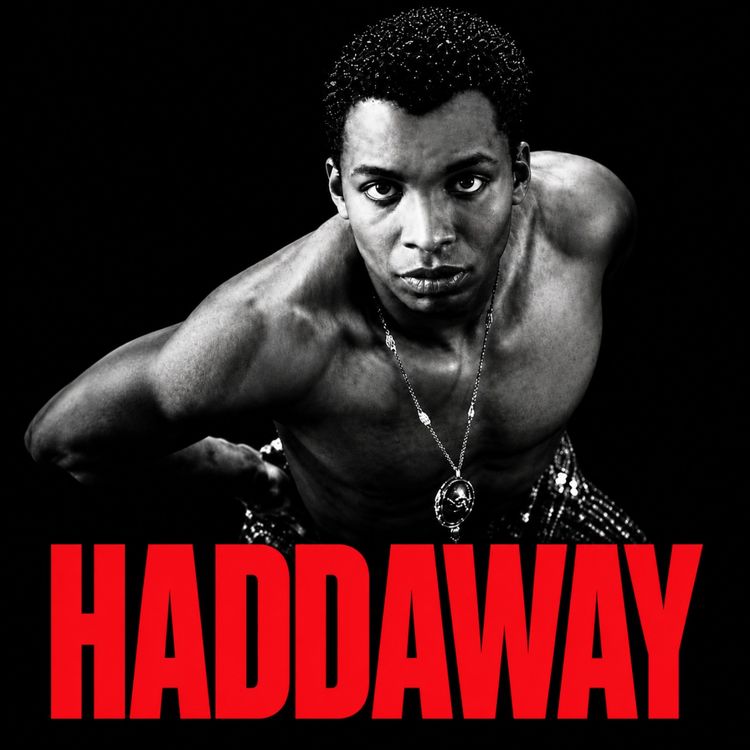 cover art for Haddaway