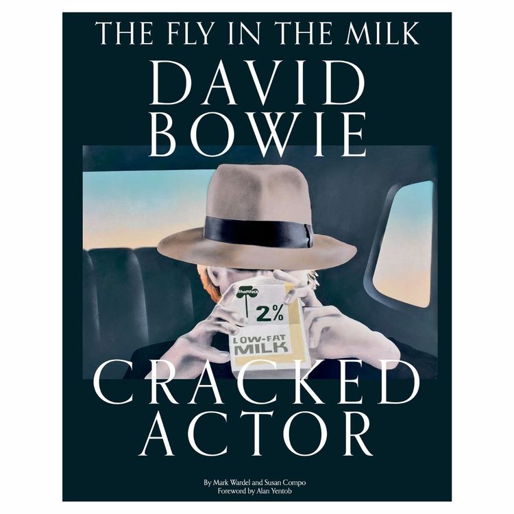 cover art for Mark Wardel on The Fly in the Milk - David Bowie