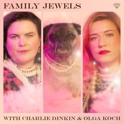 cover art for Family Jewels