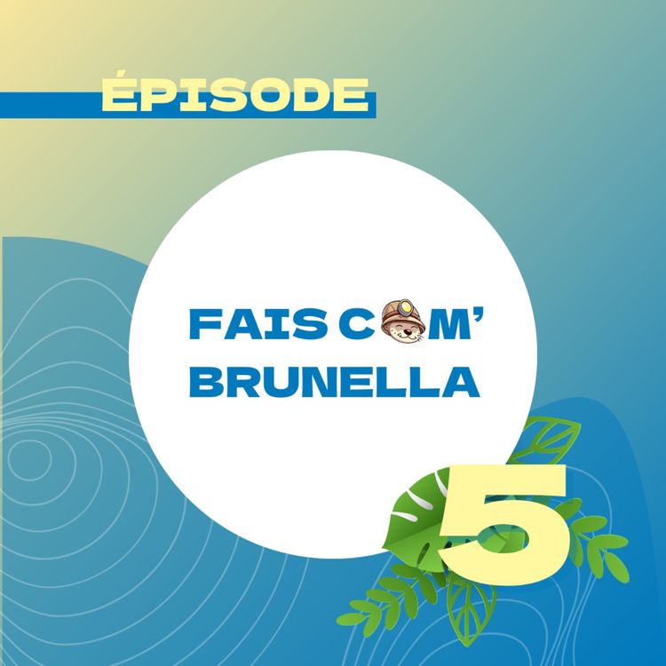 cover art for Fais Com' Brunella