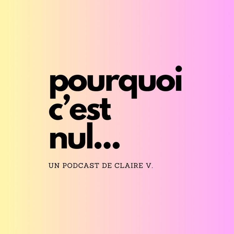 cover art for Pourquoi c'est nul... Le vote