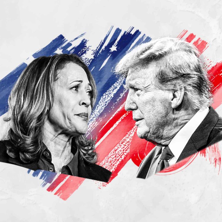 cover art for 2024 Presidential Election