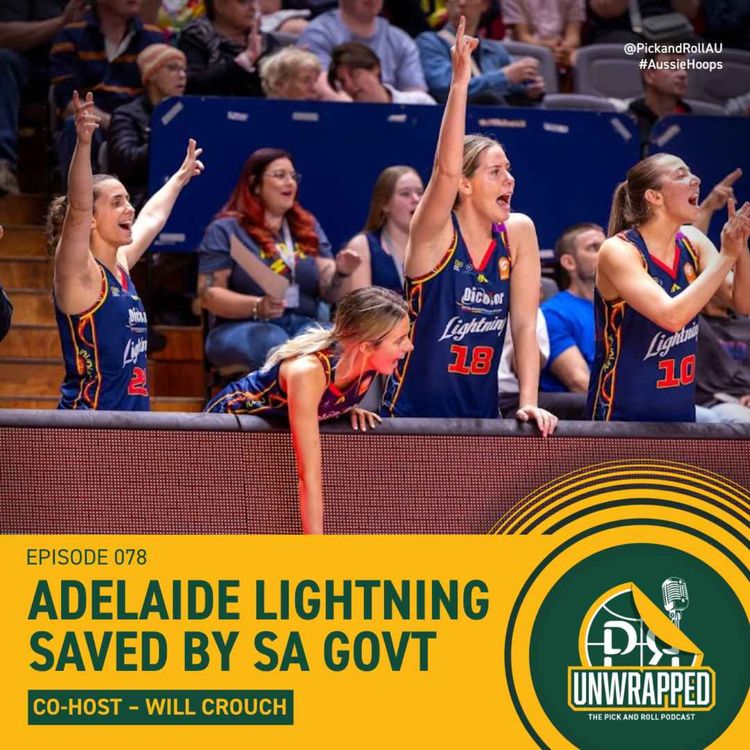 cover art for Adelaide Lightning Survive