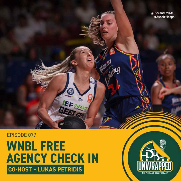 cover art for WNBL Free Agency Check In