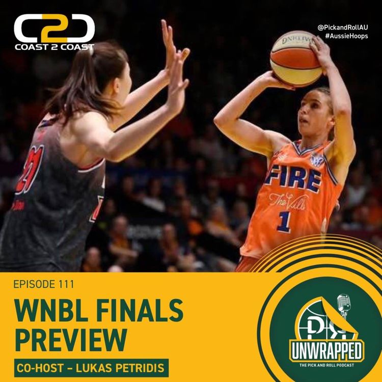 cover art for WNBL Finals Preview