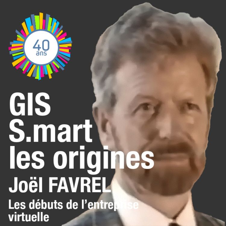 cover art for Les débuts de l'entreprise virtuelle