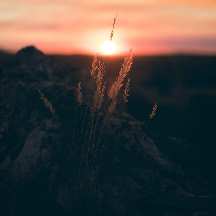 cover art for Un ennemi embarassant