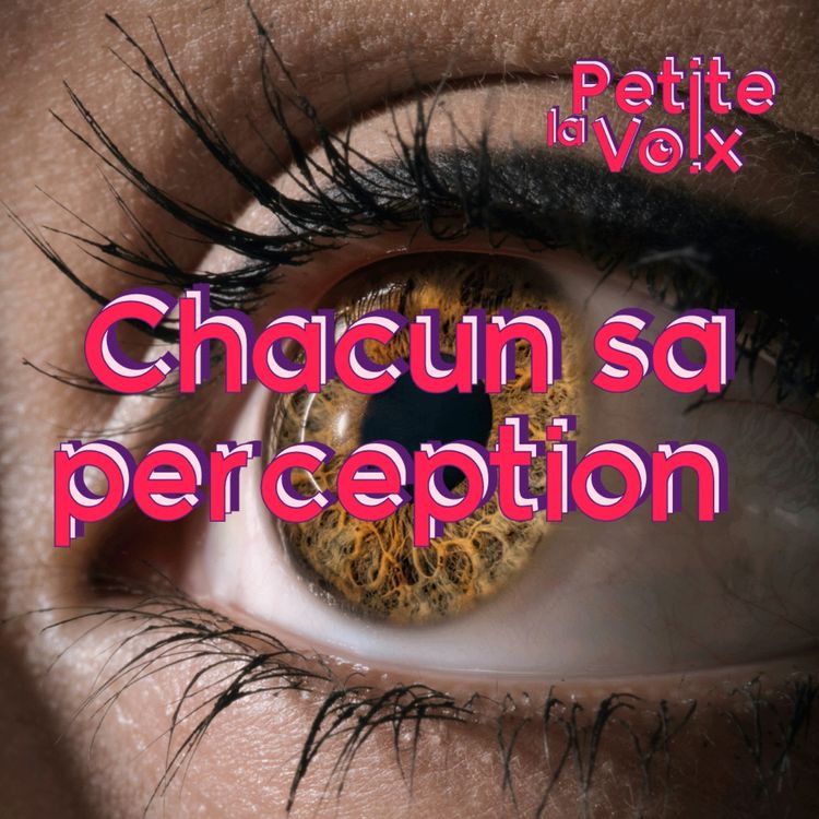 cover art for Chacun sa perception - La Petite Voix