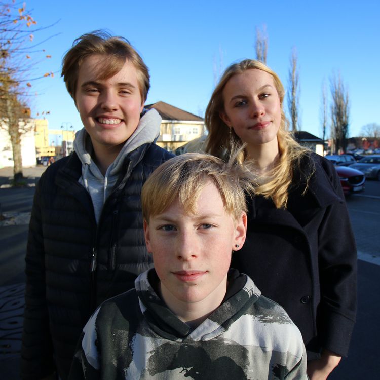 cover art for Nei til gulrot på tacobagett