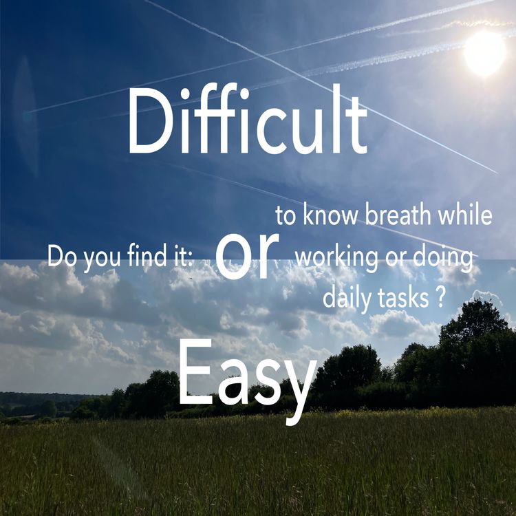 cover art for 'Do you find it easy or difficult to know breath while working or doing daily tasks?'