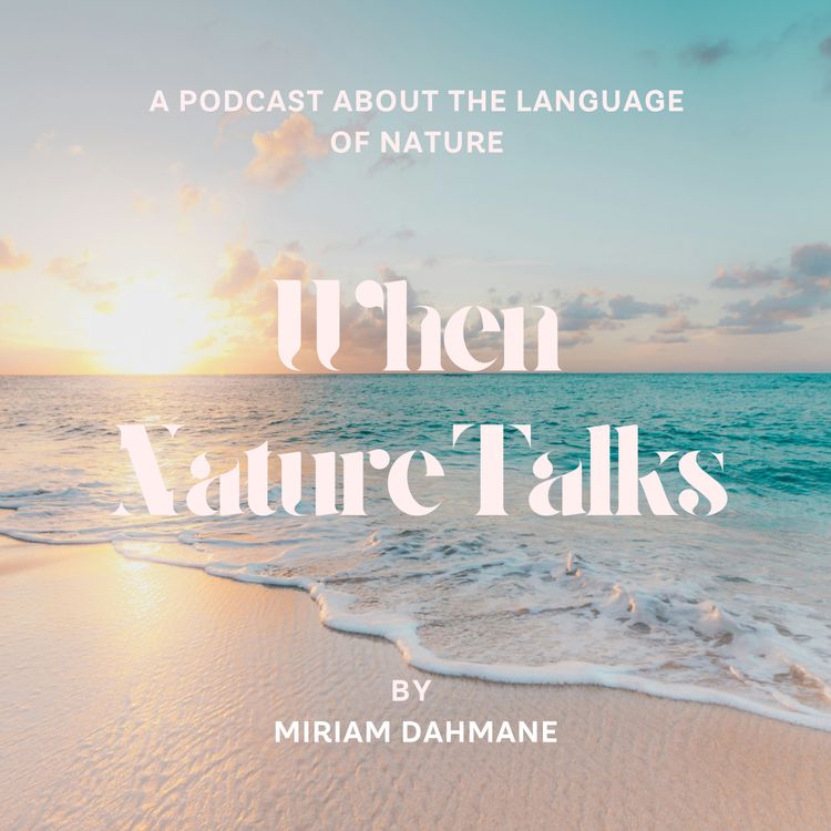 cover art for Embracing our cyclical nature - with Jessica Adams, female founder