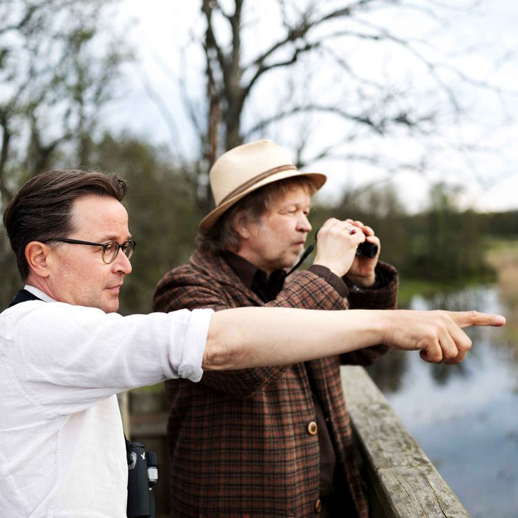 cover art for Så blev fågelskådning litteraturvärldens nya besatthet