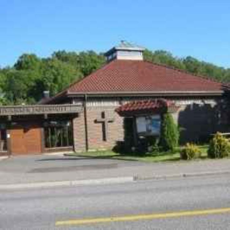 cover art for Livet i villmarken/ørkenen