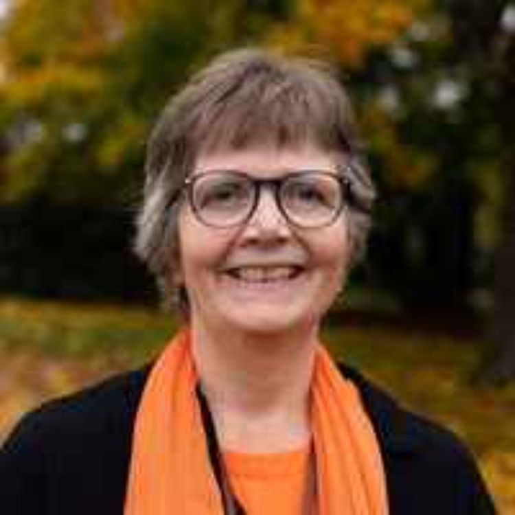 cover art for Fang de små revene