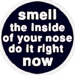 cover art for Smell the Inside of Your Nose. Do it Right Now