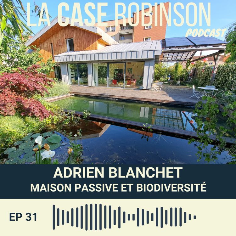 cover art for Maison passive, piscine naturelle et autonomie solaire pour la rénovation d'Adrien