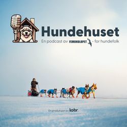 cover art for Hundehuset
