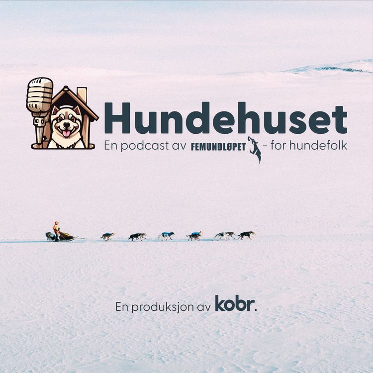 cover art for Hundeliv og historier med veterinær Ingrid Wiik Haugbjørg