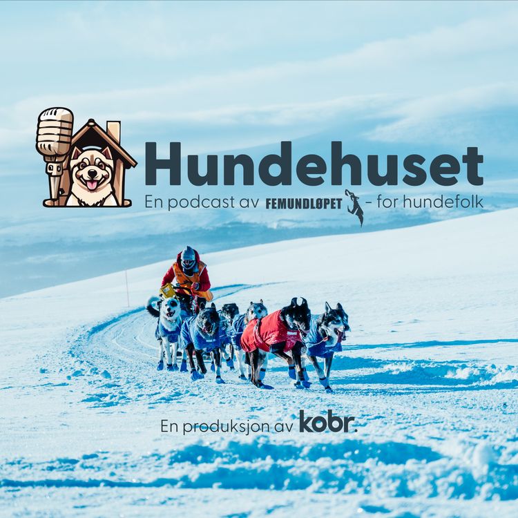 cover art for Hvorfor driver vi med hundekjøring? Hundekjøring, lidenskap og forskning med Rune Waaler