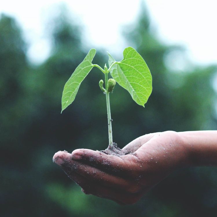 cover art for Life Is What You Make It