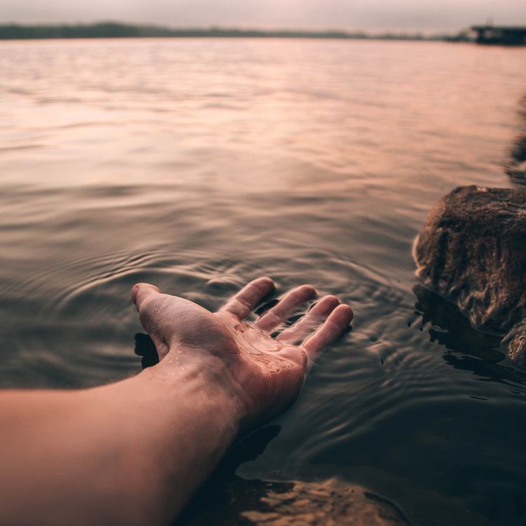 cover art for Goldmine