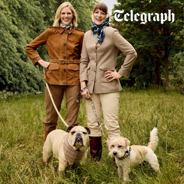 cover art for Upper-crust canines and Cornwall beach chaos