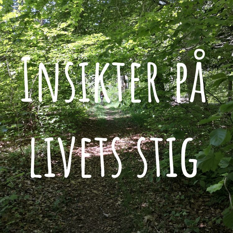 cover art for En inre "Tidigare Liv Resa"- hur går det till?