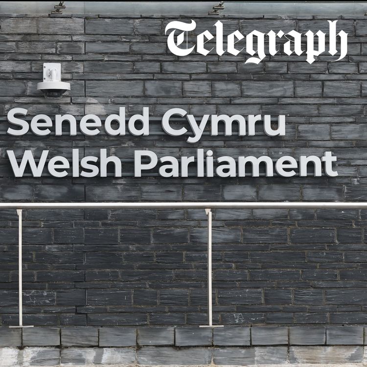 cover art for   Starmer survives a vote this week, but what will the May elections reveal for Labour