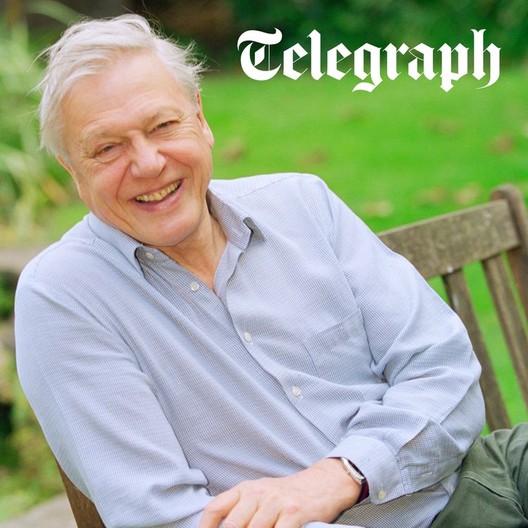 cover art for Inflation threats to consumer prices and Happy 100th birthday to Sir David Attenborough!