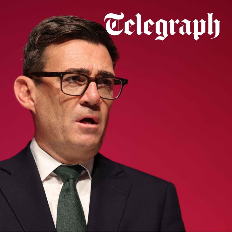 cover art for Burnham’s economics of empty promises