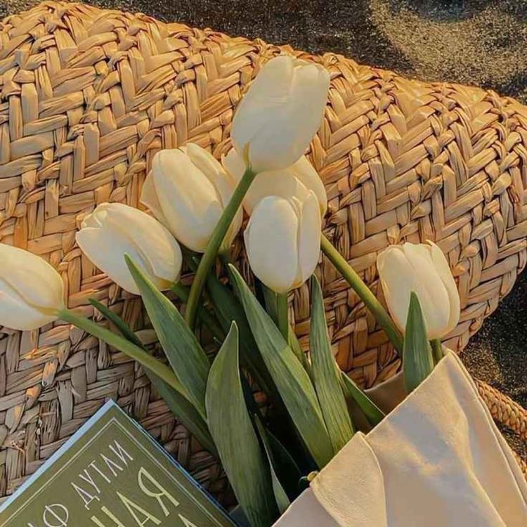 cover art for S'inspirer et prendre les autres comme exemple