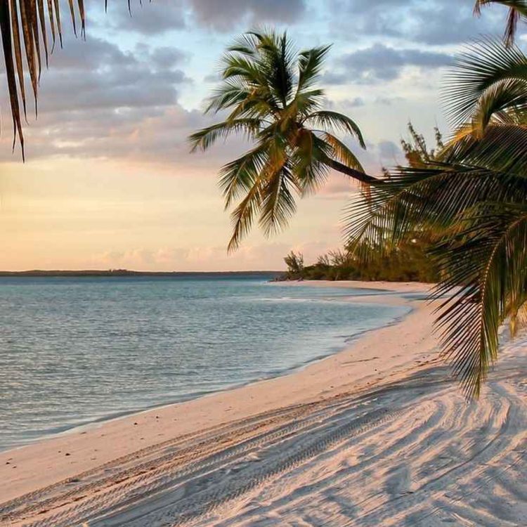 cover art for 10/04/2024 : Partir en stage en Corse