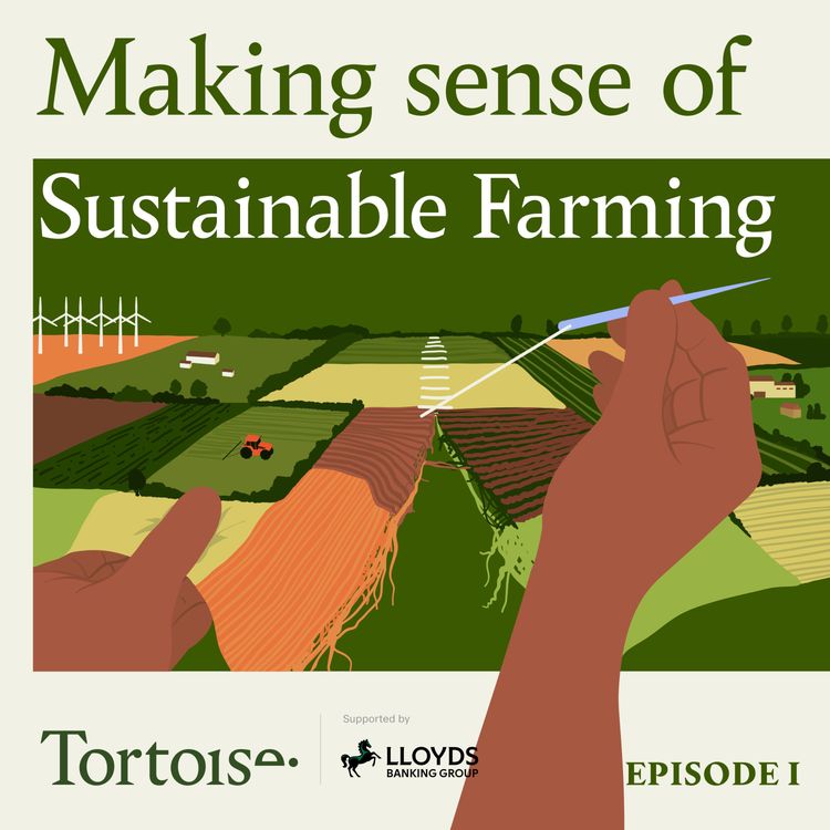 cover art for The trouble with farming | Making sense of sustainable farming Ep 1