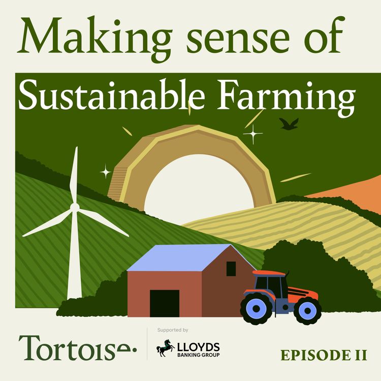 cover art for Costing the earth | Making sense of sustainable farming Ep 2