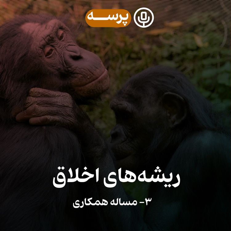 cover art for 34- Roots of Morality III (ریشه‌های اخلاق ۳)