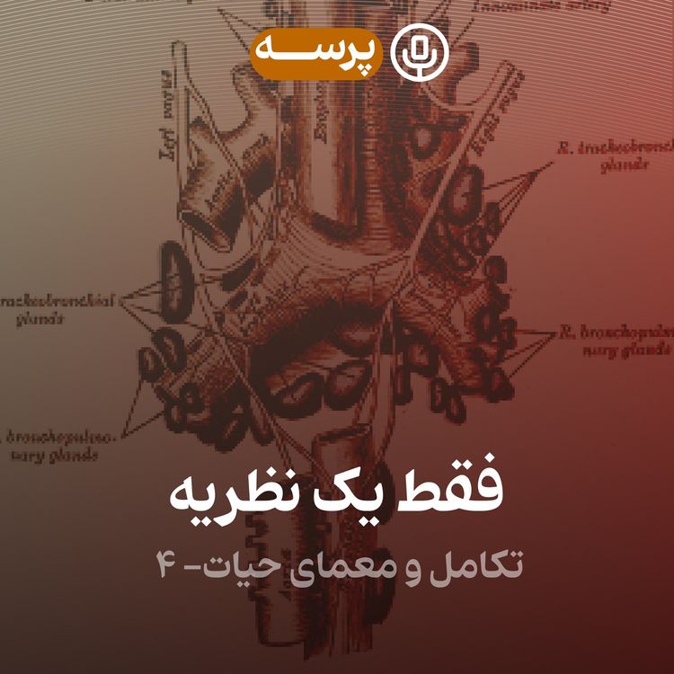 cover art for 23- Just a Theory IV (فقط یک نظریه ۴)