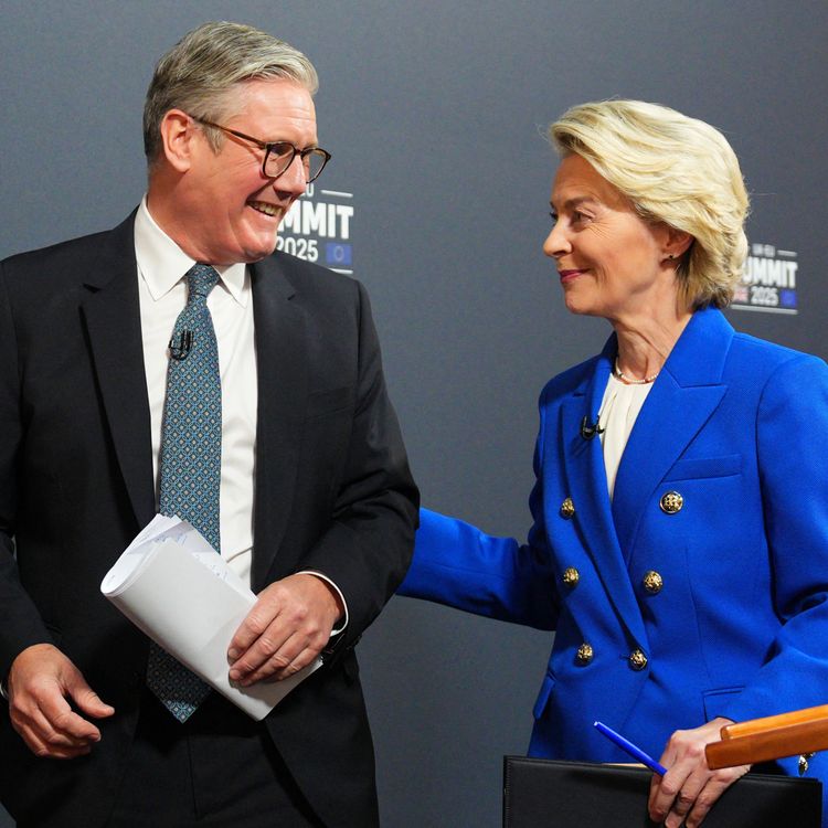 cover art for Starmer’s Brexit betrayal