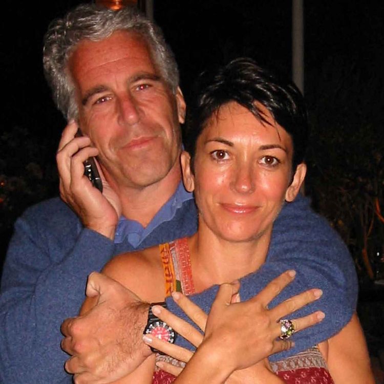 cover art for Did my brother Jeffrey Epstein really kill himself?