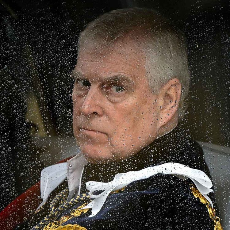 cover art for Prince Andrew’s biographer: Disgraced Duke of York should face trial