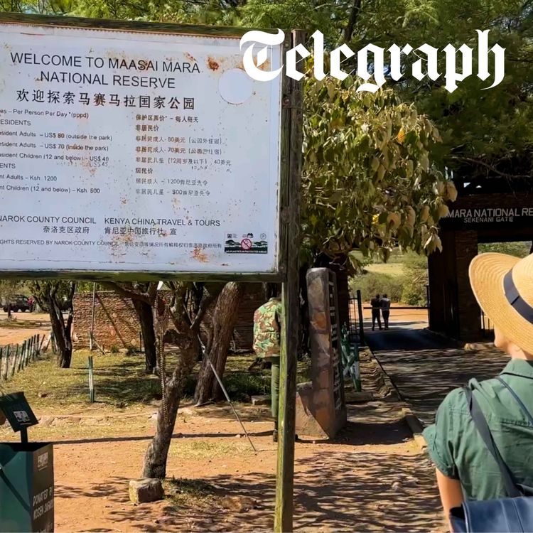 cover art for Murder in the Masai Mara, Ep 3: The Search Party