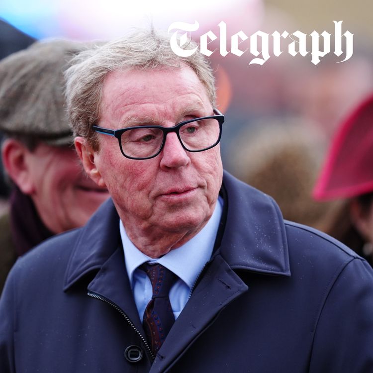 cover art for Harry Redknapp slams 'idiotic' council over flag ban