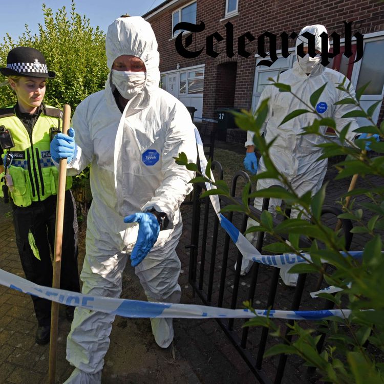 cover art for ‘It’s terrorism’: Ann Widdecombe’s 'murder' reignites debate over Farage’s £5m security
