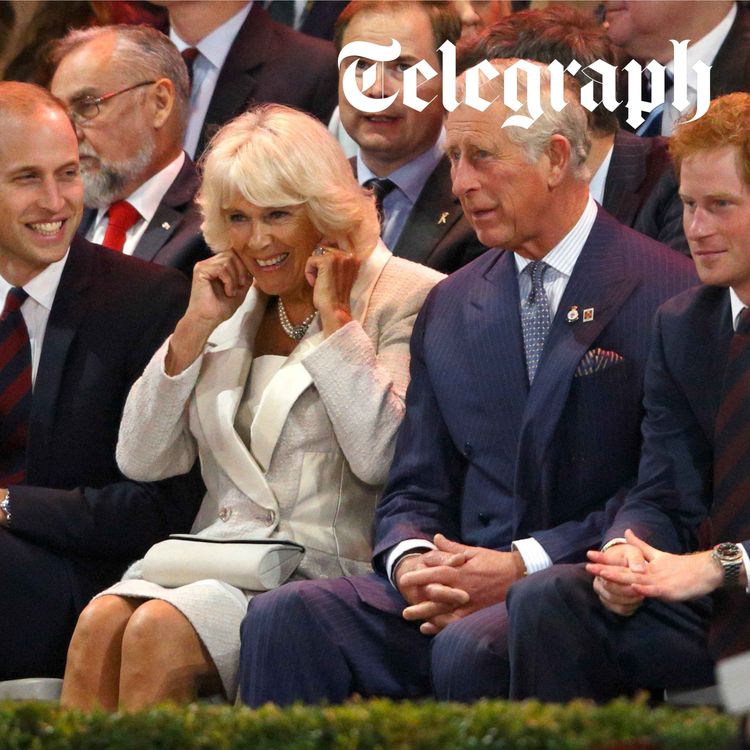 cover art for Why Queen Camilla is the key to reuniting William and Harry