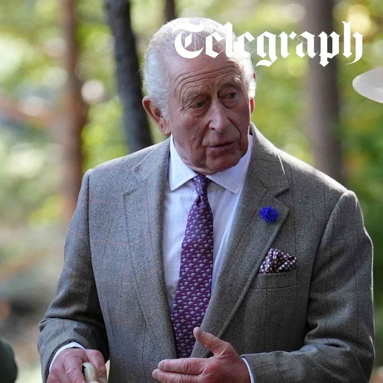 cover art for Grief, grudge, or greed? Inside Earl Spencer’s attack on the King