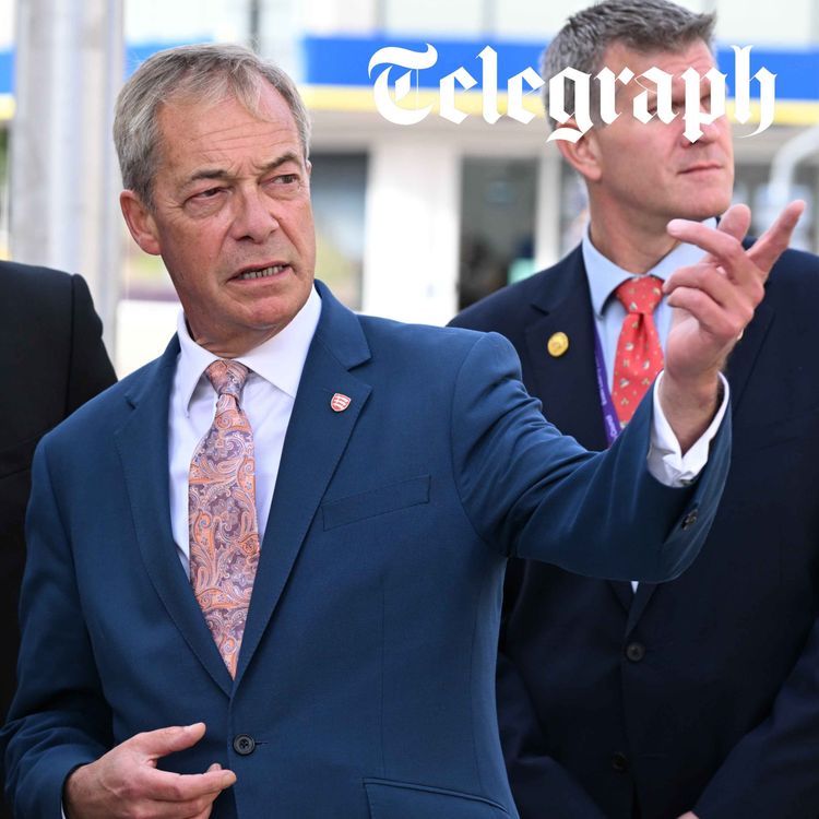 cover art for Is the ‘establishment’ out to destroy Reform?