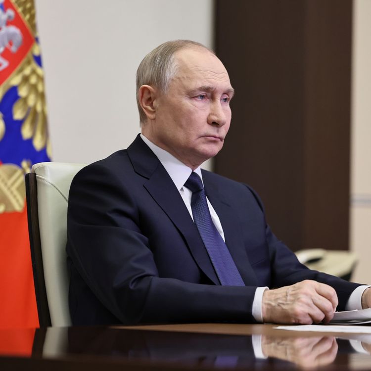 cover art for Putin declares ‘shock’ ceasefire in 'critical week' in Ukraine-Russia peace talks