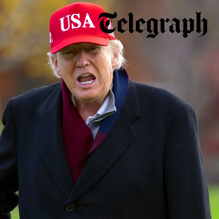 cover art for Trump peace plan ‘written by Russia’ & explosion as power plant struck near Moscow