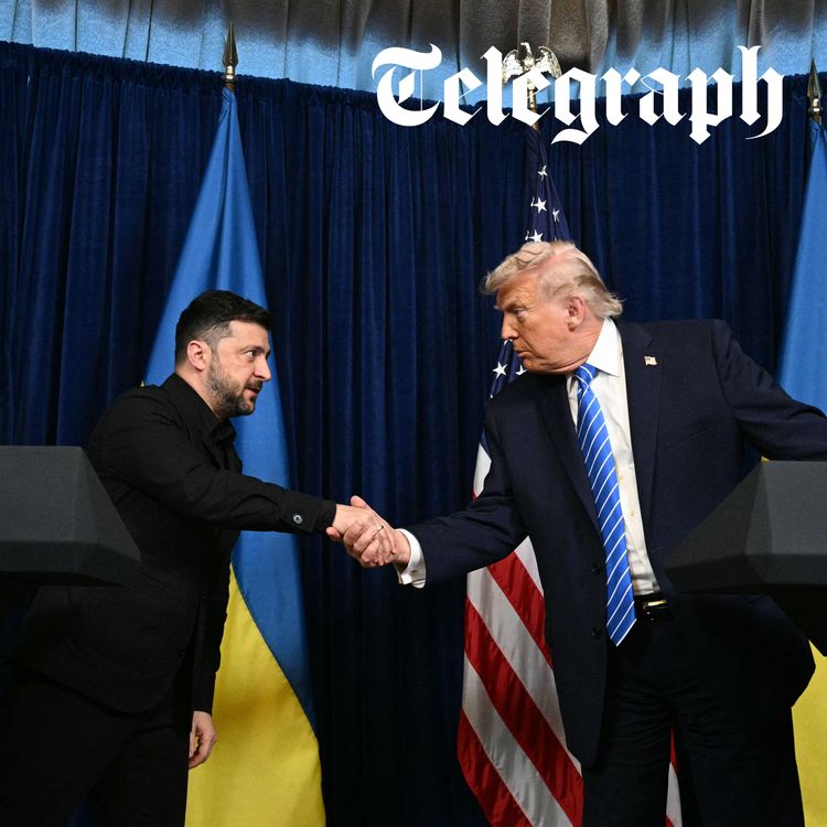 cover art for Trump 15-year security guarantee not enough to keep Russia away, says Zelensky after Mar-a-Lago talks